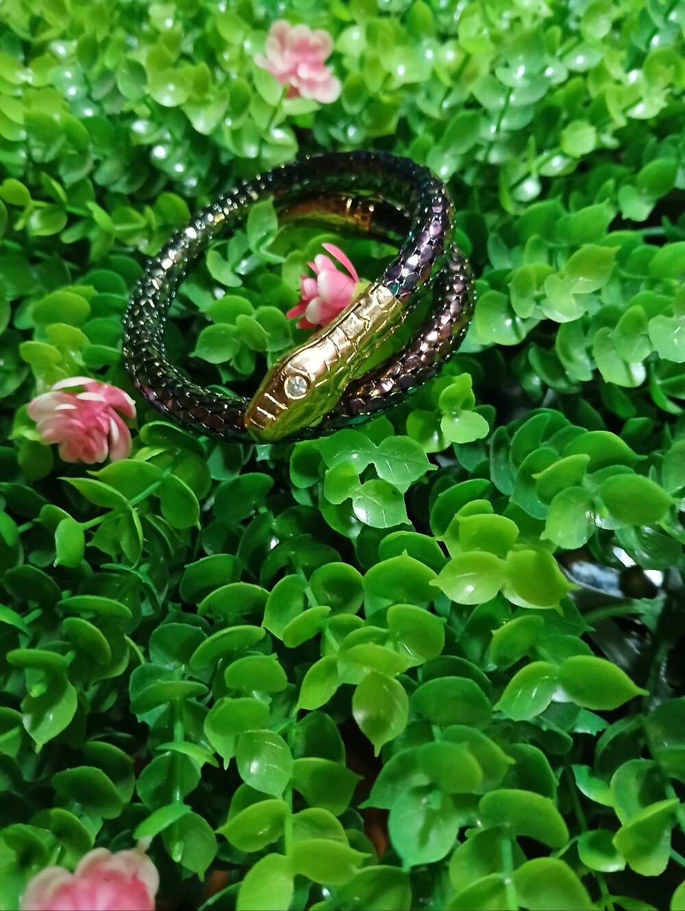 Gold-Tone Snake Wrap Bracelet in Dark Iridescent Brown